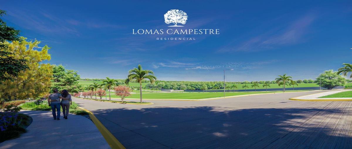 Foto de terreno habitacional en venta en  , la aguada, alvarado, veracruz de ignacio de la llave, 0 No. 05