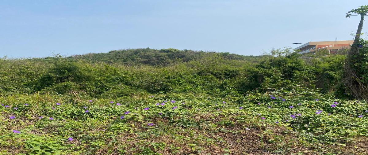 Foto de terreno habitacional en venta en  , la aguada, alvarado, veracruz de ignacio de la llave, 29498033 No. 03