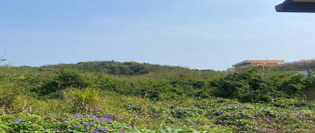 Foto de terreno habitacional en venta en  , la aguada, alvarado, veracruz de ignacio de la llave, 29498033 No. 04