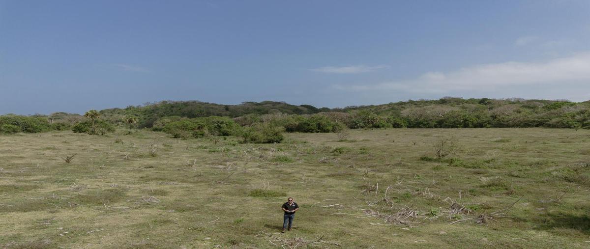 Foto de terreno habitacional en venta en  , la aguada, alvarado, veracruz de ignacio de la llave, 0 No. 03