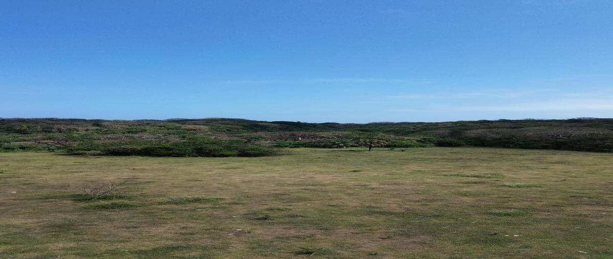 Foto de terreno habitacional en venta en  , la aguada, alvarado, veracruz de ignacio de la llave, 0 No. 05