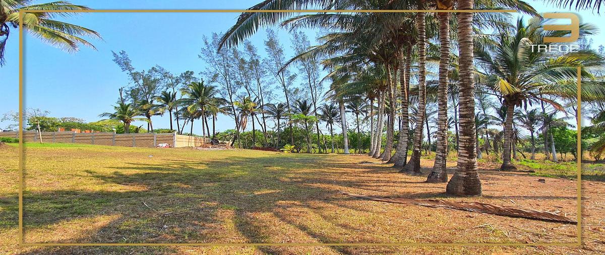 Foto de terreno habitacional en venta en  , la aguada, alvarado, veracruz de ignacio de la llave, 0 No. 04