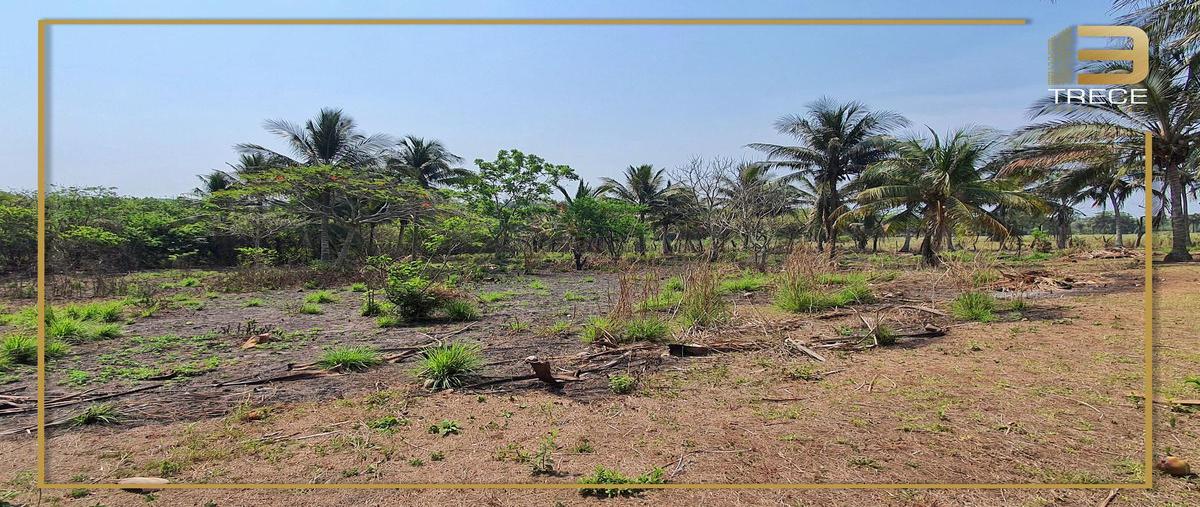 Foto de terreno habitacional en venta en  , la aguada, alvarado, veracruz de ignacio de la llave, 0 No. 05