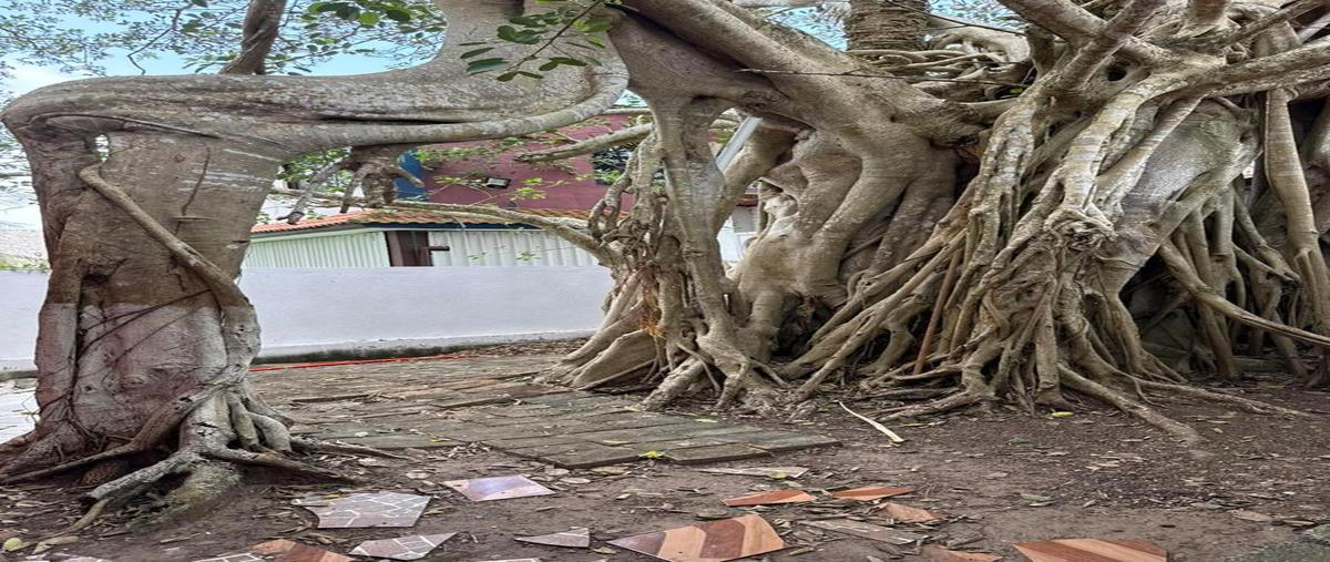Foto de local en venta en  , la aguada, alvarado, veracruz de ignacio de la llave, 0 No. 03