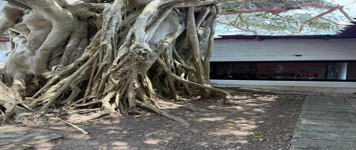 Foto de local en venta en  , la aguada, alvarado, veracruz de ignacio de la llave, 0 No. 04