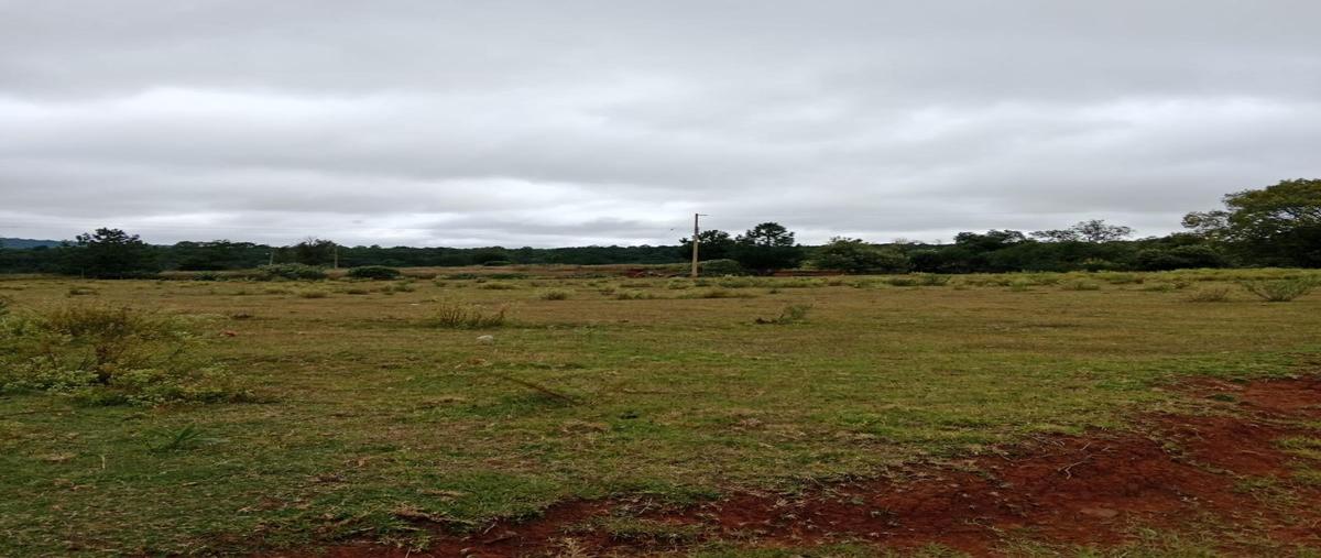 Foto de terreno habitacional en venta en  , la alameda del rincón, amealco de bonfil, querétaro, 0 No. 04