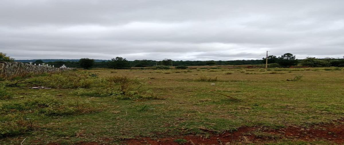 Foto de terreno habitacional en venta en  , la alameda del rincón, amealco de bonfil, querétaro, 0 No. 05