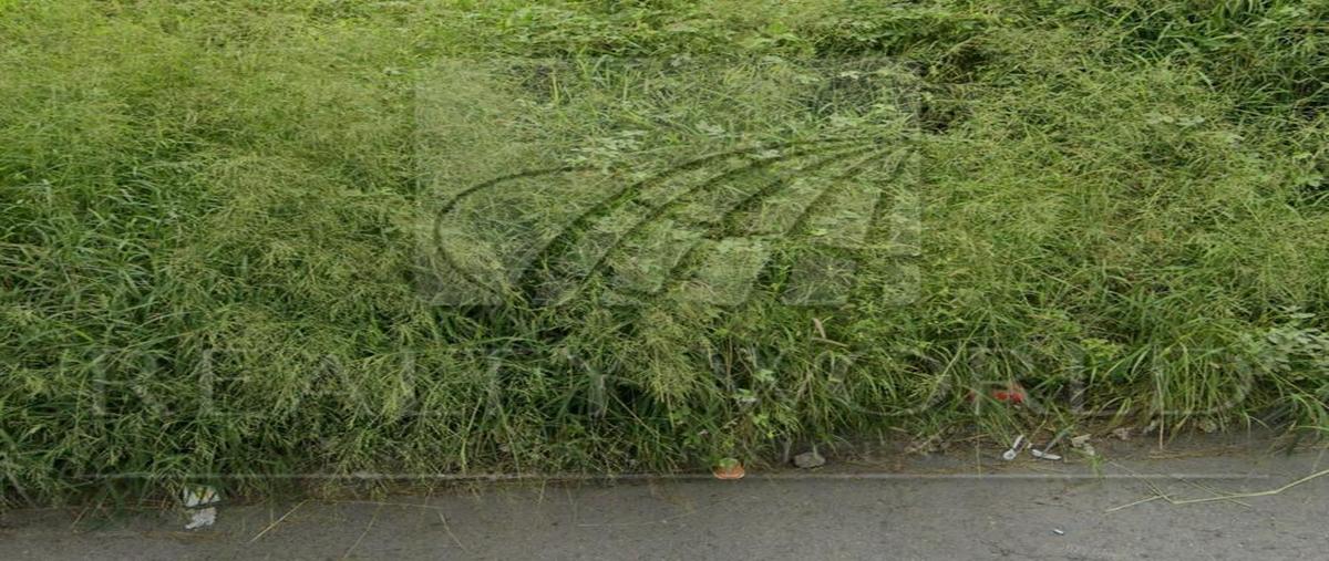 Foto de terreno habitacional en venta en  , la alianza p-128, monterrey, nuevo león, 31026355 No. 04