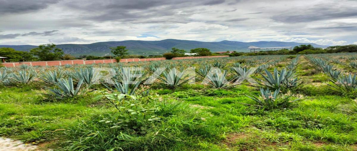 Foto de terreno comercial en venta en la amargura , san francisco lachigolo, san francisco lachigoló, oaxaca, 0 No. 03