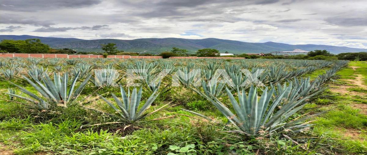 Foto de terreno comercial en venta en la amargura , san francisco lachigolo, san francisco lachigoló, oaxaca, 0 No. 04