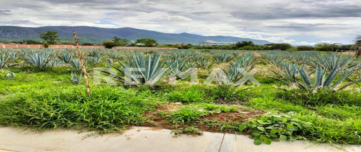 Foto de terreno comercial en venta en la amargura , san francisco lachigolo, san francisco lachigoló, oaxaca, 0 No. 05