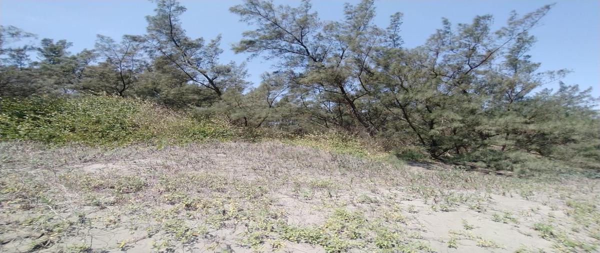 Foto de terreno habitacional en venta en  , la antigua veracruz, la antigua, veracruz de ignacio de la llave, 24677550 No. 03