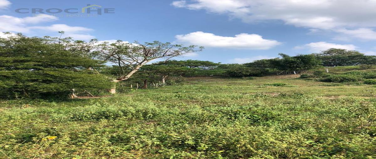 Foto de terreno habitacional en venta en  , la antigua veracruz, la antigua, veracruz de ignacio de la llave, 0 No. 04