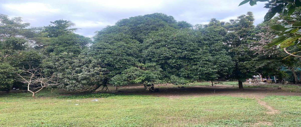 Foto de terreno habitacional en venta en  , la antigua veracruz, la antigua, veracruz de ignacio de la llave, 0 No. 03