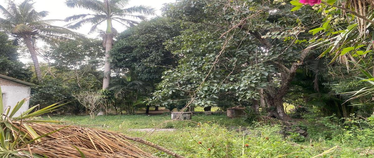 Foto de terreno habitacional en venta en  , la antigua veracruz, la antigua, veracruz de ignacio de la llave, 0 No. 04