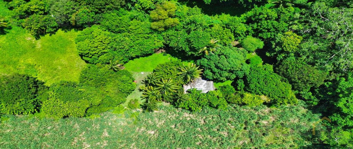 Foto de terreno habitacional en , la antigua veracruz, la antigua, veracruz de ignacio de la llave, 30368483 foto 05 Foto de terreno habitacional en venta en , la antigua veracruz, la antigua, veracruz de ignacio de la llave, 30368483 No. 05