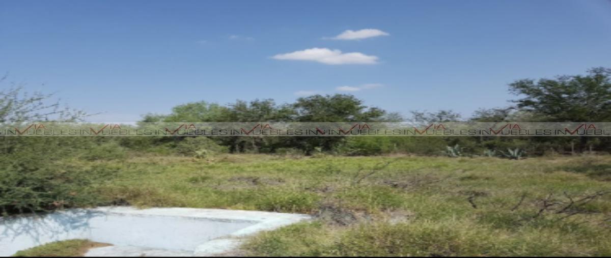 Foto de terreno industrial en venta en  , la arena, pesquería, nuevo león, 26961855 No. 04
