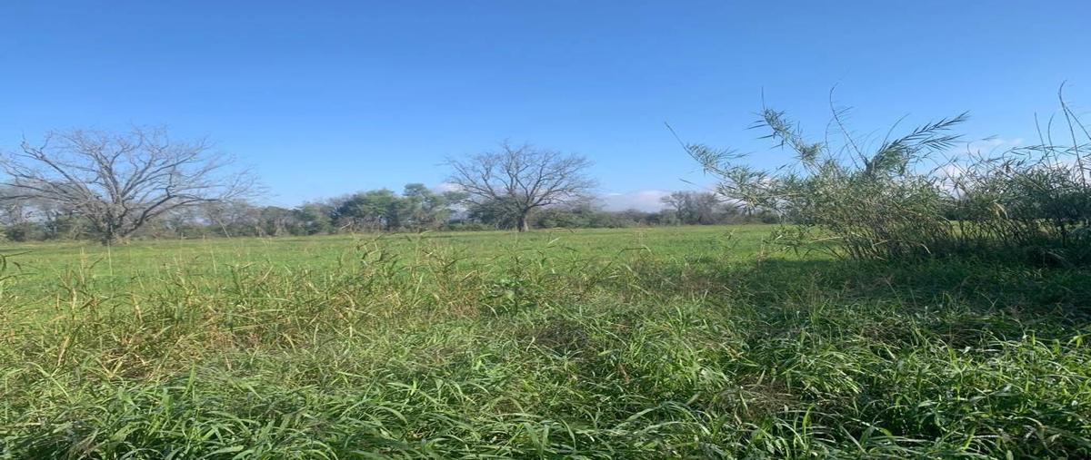 Foto de terreno habitacional en venta en la arena, pesquería, nuevo león , la arena, pesquería, nuevo león, 0 No. 03