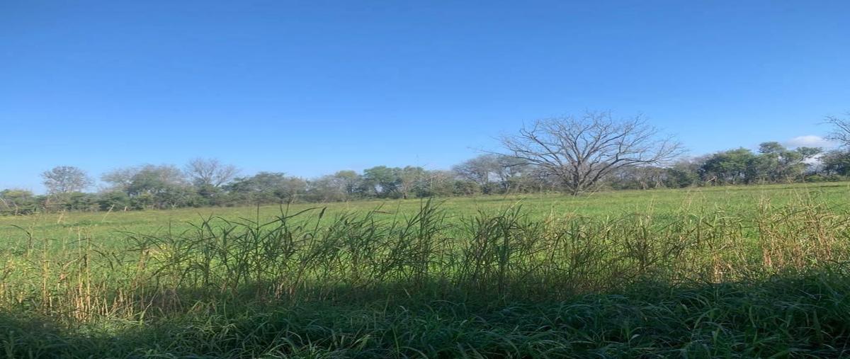 Foto de terreno habitacional en venta en la arena, pesquería, nuevo león , la arena, pesquería, nuevo león, 0 No. 04