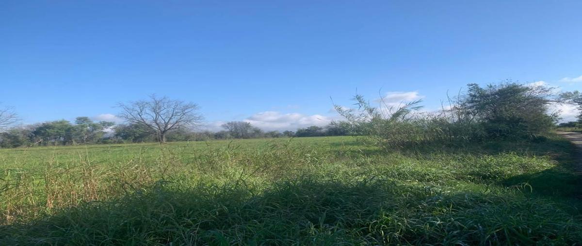 Foto de terreno habitacional en venta en la arena, pesquería, nuevo león , la arena, pesquería, nuevo león, 0 No. 05