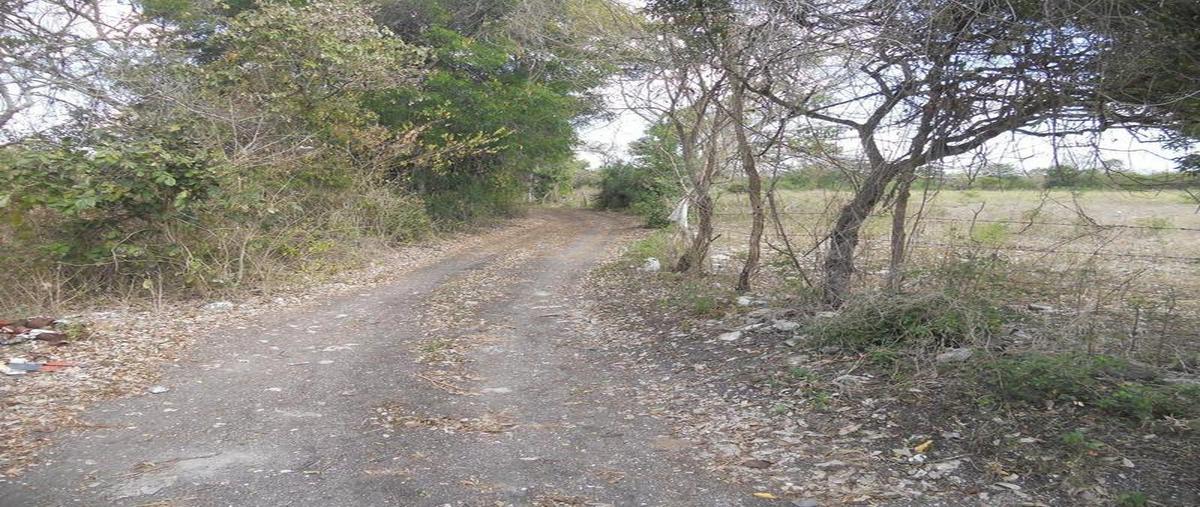 Foto de terreno comercial en venta en  , la balsa, emiliano zapata, veracruz de ignacio de la llave, 30298409 No. 05