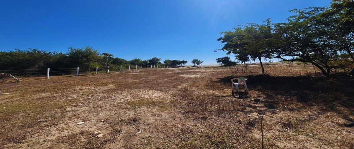 Foto de terreno habitacional en venta en  , la barra de colotepec, santa maría colotepec, oaxaca, 0 No. 03