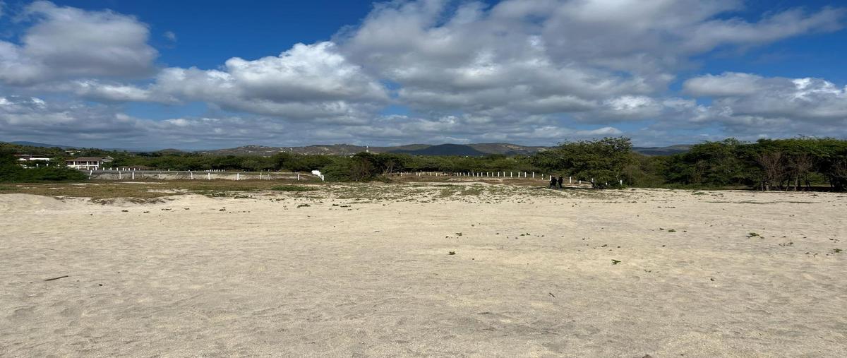 Foto de terreno habitacional en venta en  , la barra de colotepec, santa maría colotepec, oaxaca, 0 No. 04