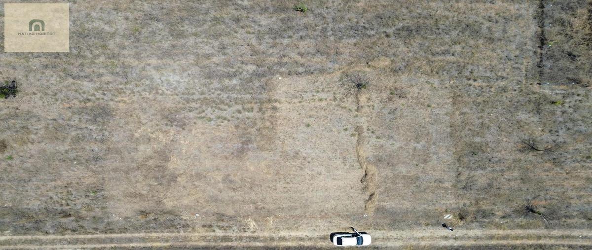 Foto de terreno habitacional en venta en  , la barra de colotepec, santa maría colotepec, oaxaca, 0 No. 03
