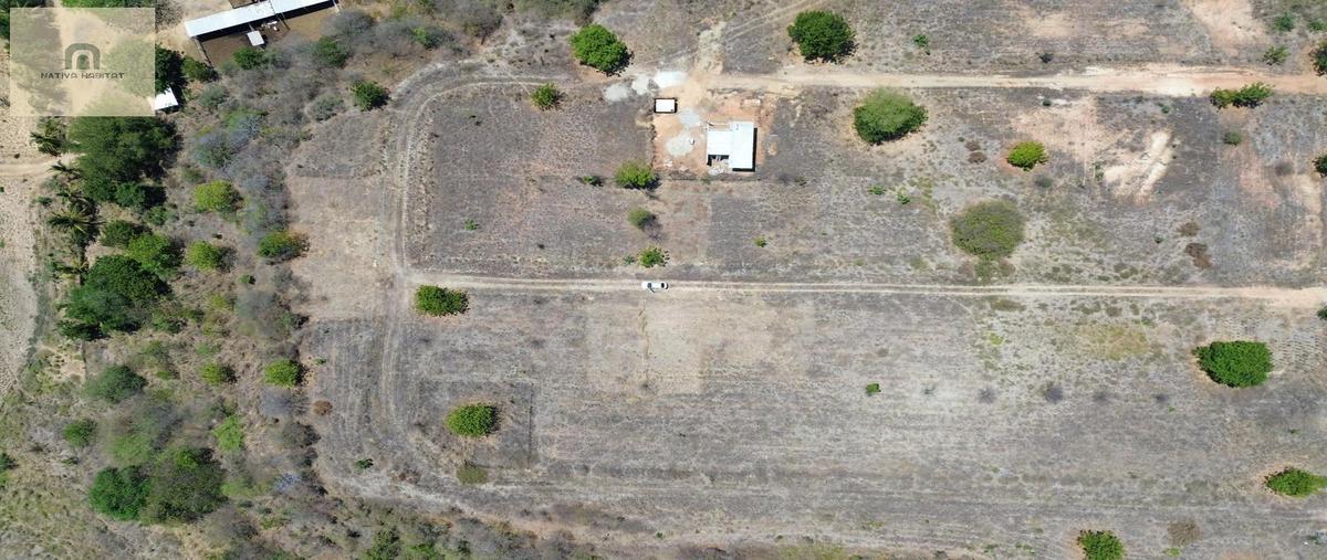 Foto de terreno habitacional en venta en  , la barra de colotepec, santa maría colotepec, oaxaca, 0 No. 04