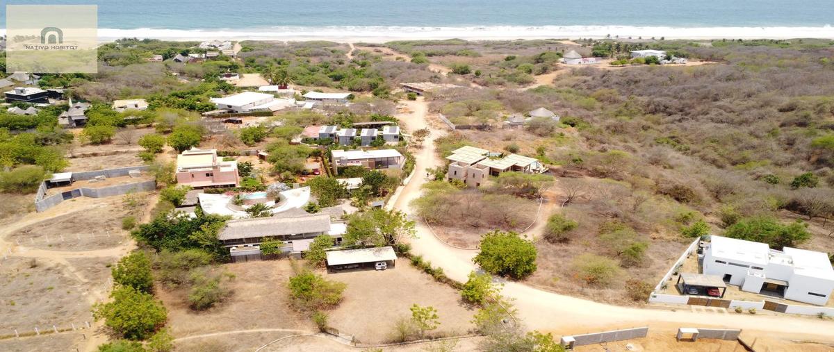 Foto de terreno habitacional en venta en  , la barra de colotepec, santa maría colotepec, oaxaca, 31576500 No. 04