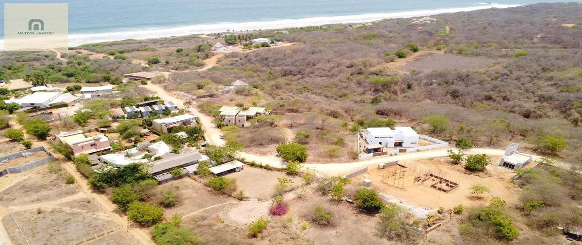 Foto de terreno habitacional en venta en  , la barra de colotepec, santa maría colotepec, oaxaca, 31576500 No. 05