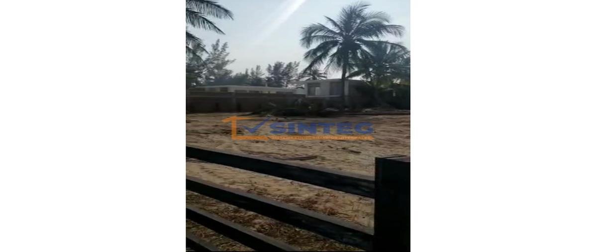 Foto de terreno habitacional en venta en  , la barra norte, tuxpan, veracruz de ignacio de la llave, 30132215 No. 05