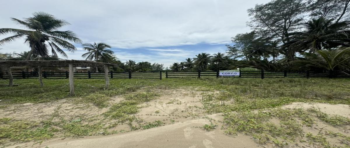 Foto de terreno habitacional en venta en  , la barra, tuxpan, veracruz de ignacio de la llave, 28927077 No. 04