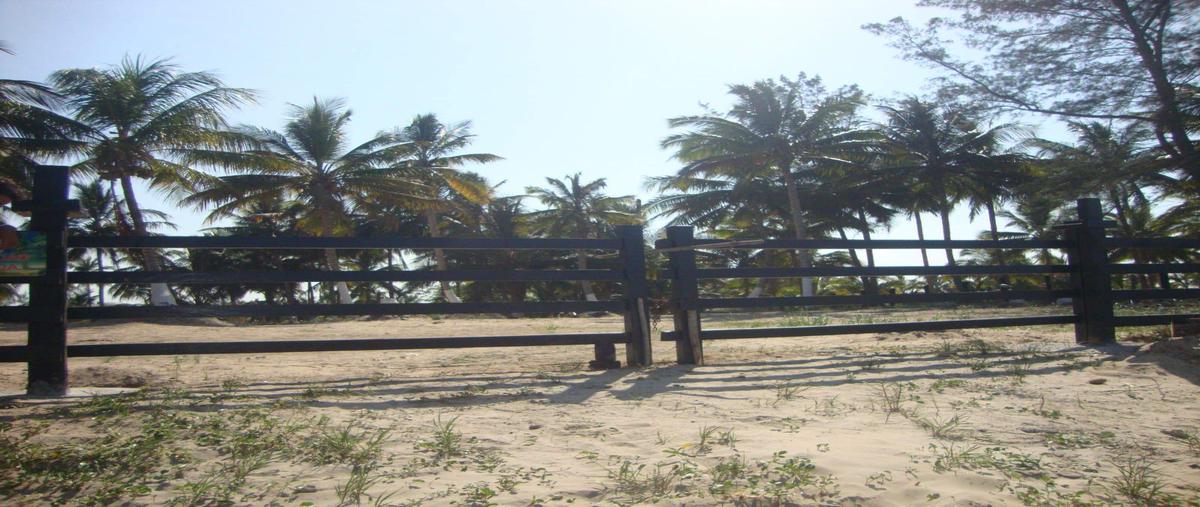 Foto de terreno habitacional en venta en  , la barra, tuxpan, veracruz de ignacio de la llave, 29824046 No. 05