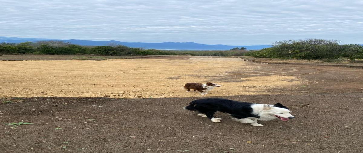 Foto de terreno habitacional en venta en la barranca , congregación calles, montemorelos, nuevo león, 0 No. 04