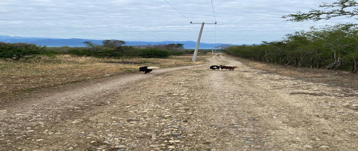 Foto de terreno habitacional en venta en la barranca , congregación calles, montemorelos, nuevo león, 0 No. 05