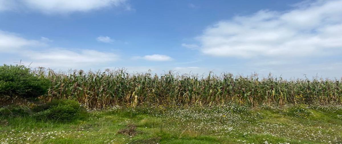 Foto de terreno habitacional en venta en la barranca de abajo , san andrés ocotlán, calimaya, méxico, 25613885 No. 03