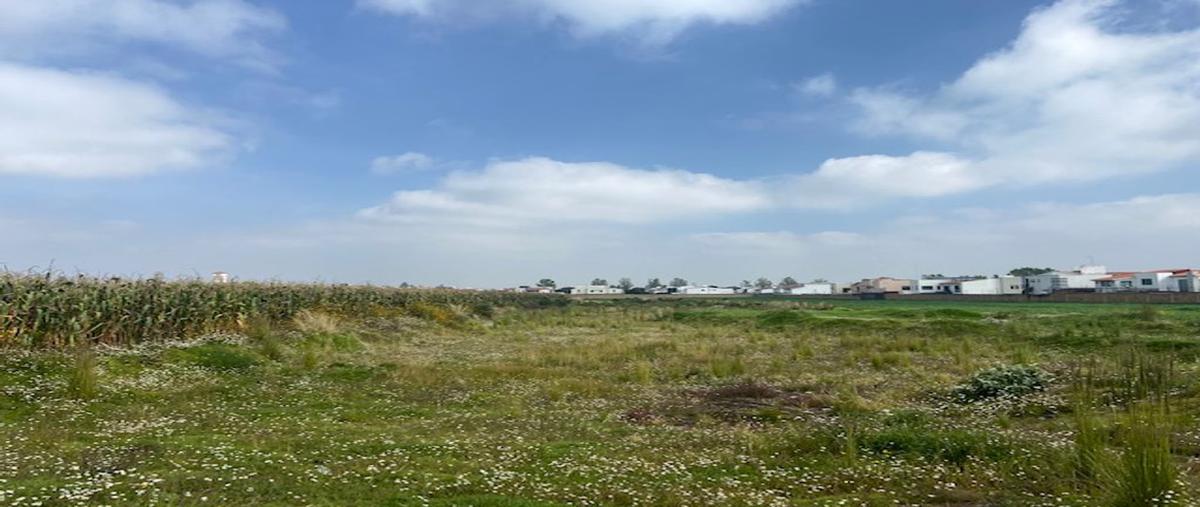 Foto de terreno habitacional en venta en la barranca de abajo , san andrés ocotlán, calimaya, méxico, 25613885 No. 04