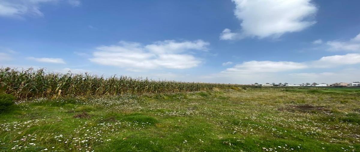 Foto de terreno habitacional en venta en la barranca de abajo , san andrés ocotlán, calimaya, méxico, 25613885 No. 05