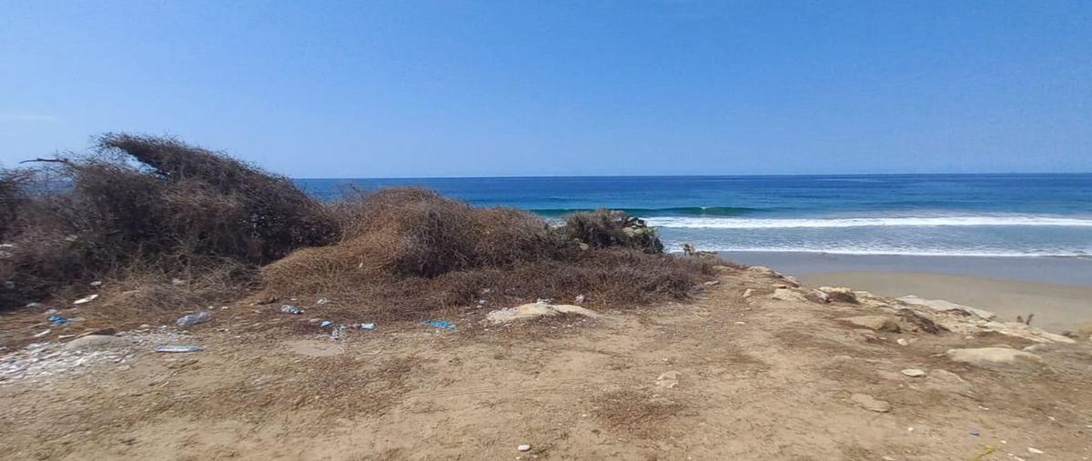 Foto de terreno habitacional en venta en la barrita , nuevo, petatlán, guerrero, 26743397 No. 03