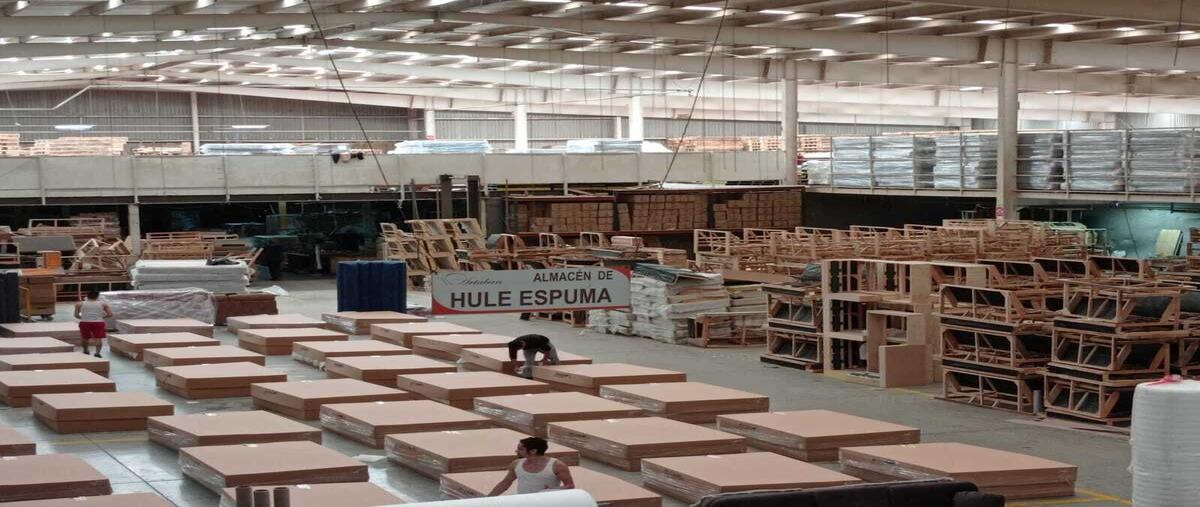 Foto de nave industrial en renta en  , la bella, san pedro tlaquepaque, jalisco, 28887403 No. 04