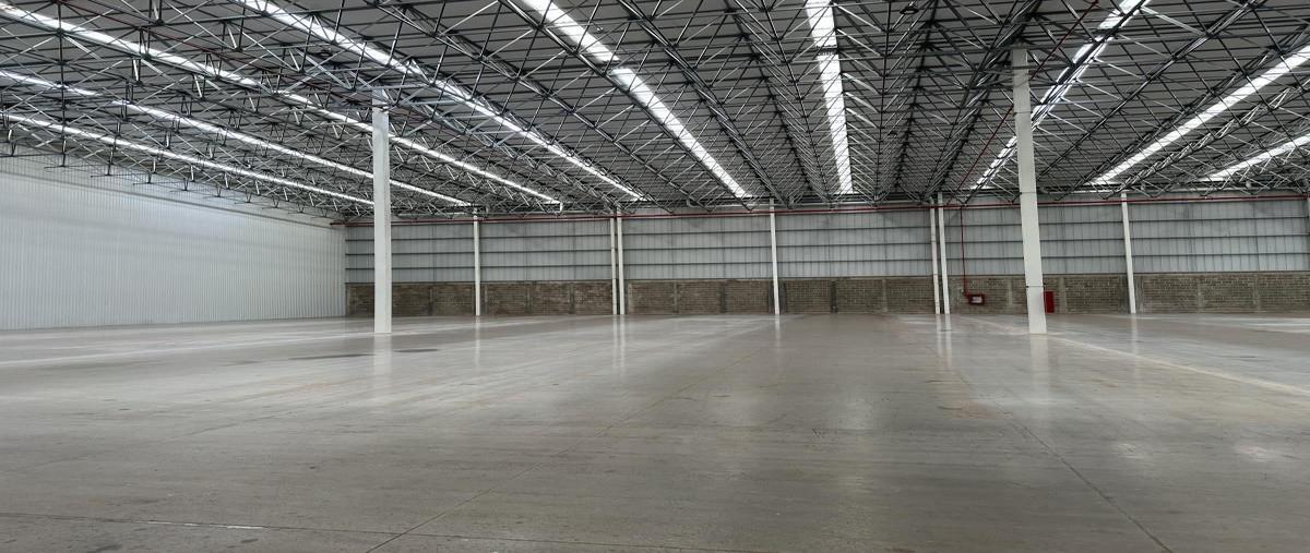 Foto de nave industrial en renta en  , la bella, san pedro tlaquepaque, jalisco, 0 No. 04