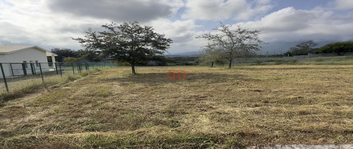 Foto de terreno habitacional en venta en  , la boquilla (las boquillas), allende, nuevo león, 28937520 No. 04