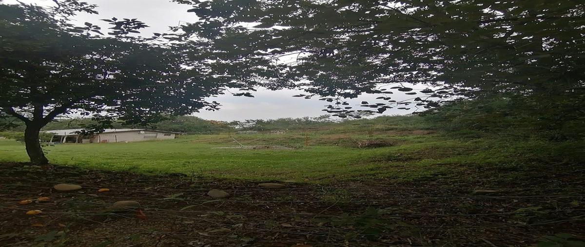 Foto de terreno habitacional en venta en la boquilla , las boquillas, allende, nuevo león, 30743417 No. 05