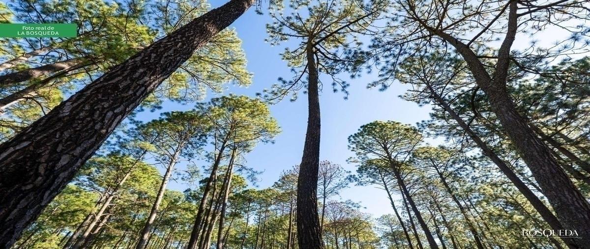 Foto de terreno habitacional en venta en la bosqueda , los espinos, tapalpa, jalisco, 30108500 No. 04