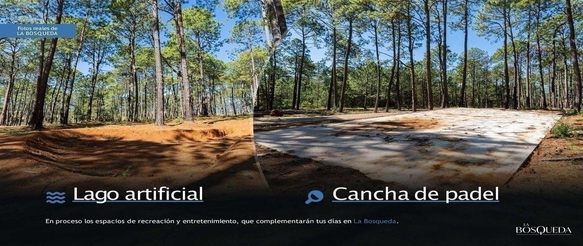Foto de terreno habitacional en venta en la bosqueda , los espinos, tapalpa, jalisco, 30108500 No. 05