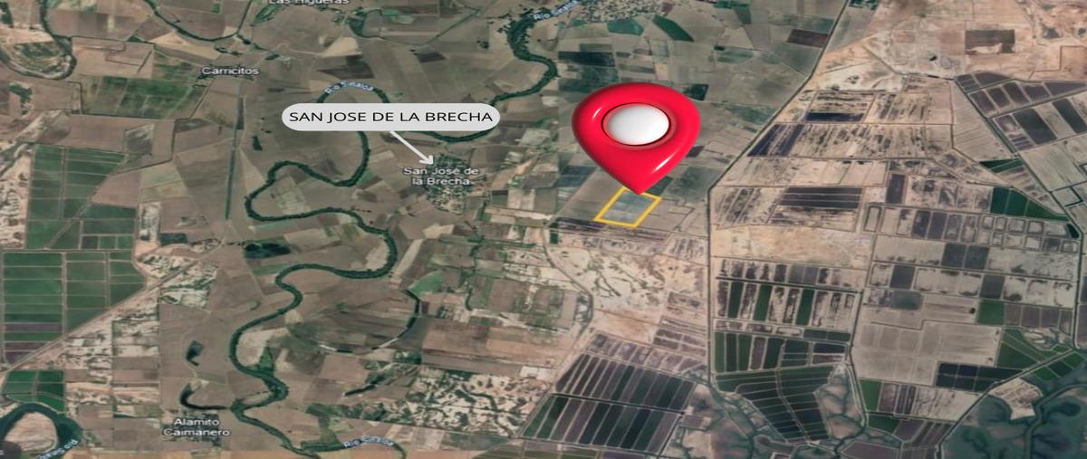 Foto de terreno habitacional en venta en  , la brecha, guasave, sinaloa, 27303862 No. 05