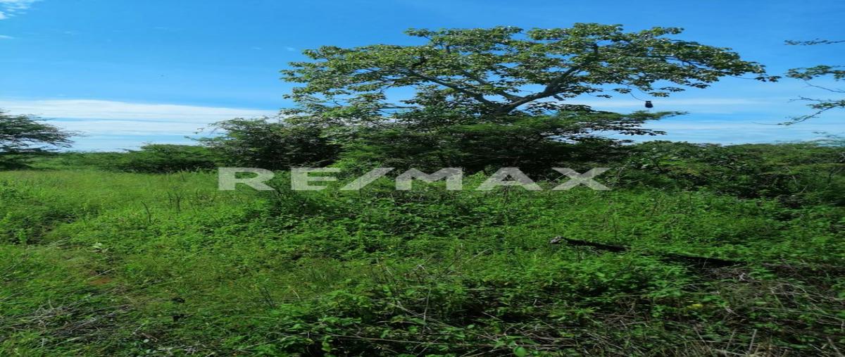 Foto de terreno industrial en venta en la cabaña , santiago niltepec, santiago niltepec, oaxaca, 0 No. 03