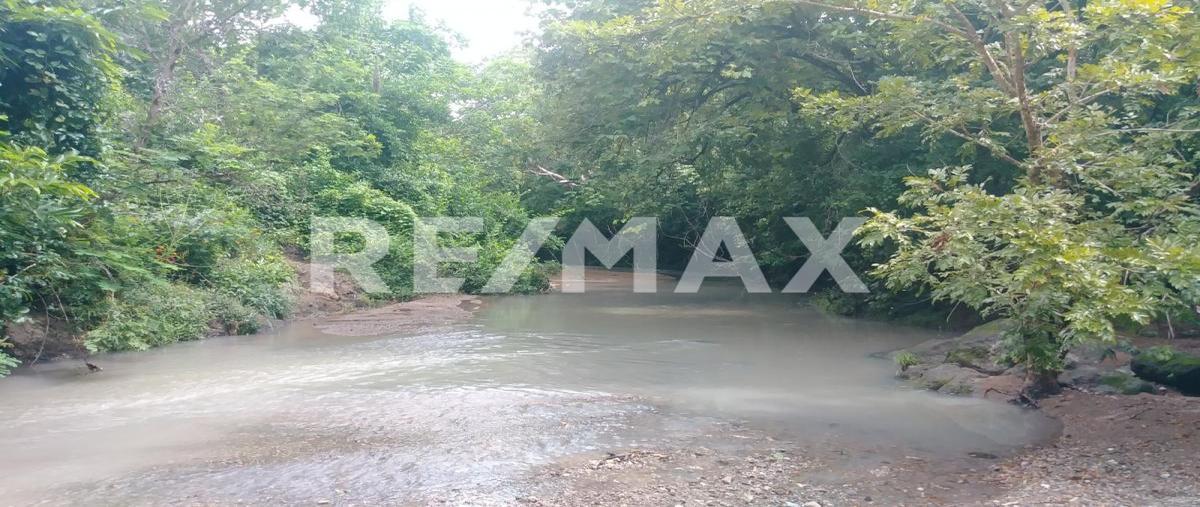 Foto de terreno industrial en venta en la cabaña , santiago niltepec, santiago niltepec, oaxaca, 0 No. 04