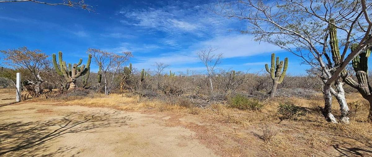 Foto de terreno habitacional en venta en . , la cahchora, la paz, baja california sur, 30684756 No. 04